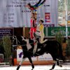 La Voce Equestre - C. Europei Volteggio 2011